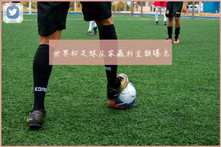 世界杯足球庄家赢利金额曝光