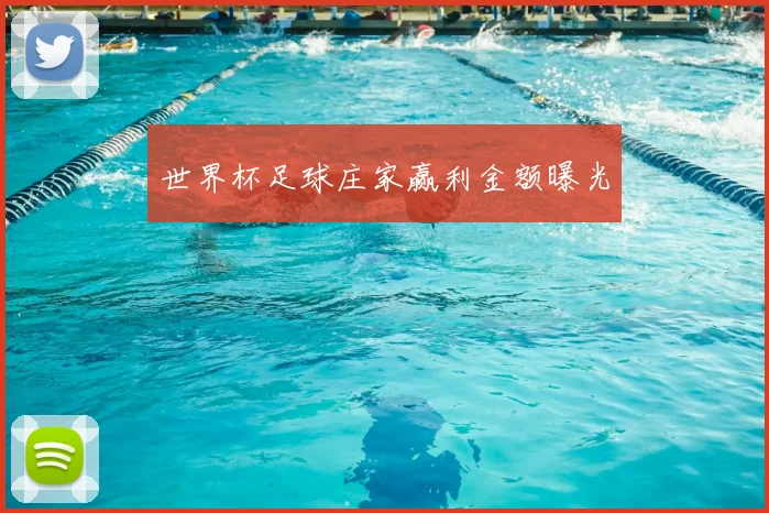世界杯足球庄家赢利金额曝光