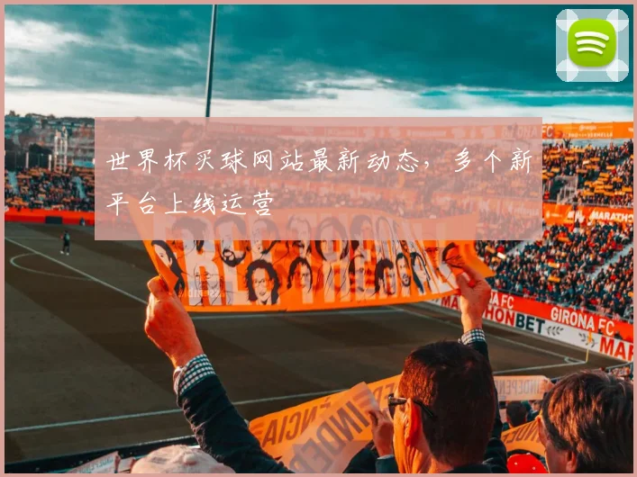 世界杯买球网站最新动态，多个新平台上线运营