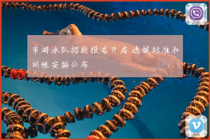 市游泳队招新报名开启 选拔标准和训练安排公布