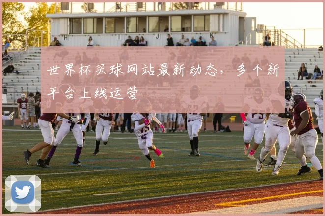 世界杯买球网站最新动态,多个新平台上线运营