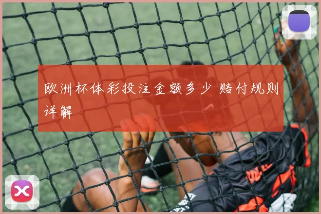 欧洲杯体彩投注金额多少 赔付规则详解