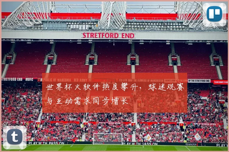 世界杯火软件热度攀升,球迷观赛与互动需求同步增长