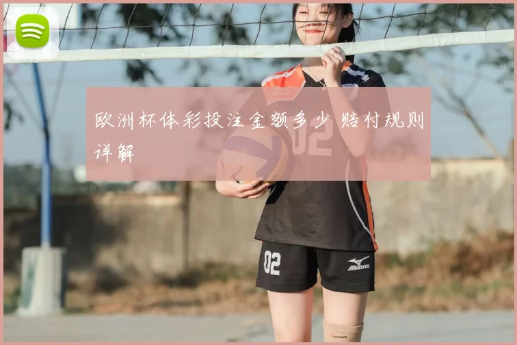 欧洲杯体彩投注金额多少 赔付规则详解