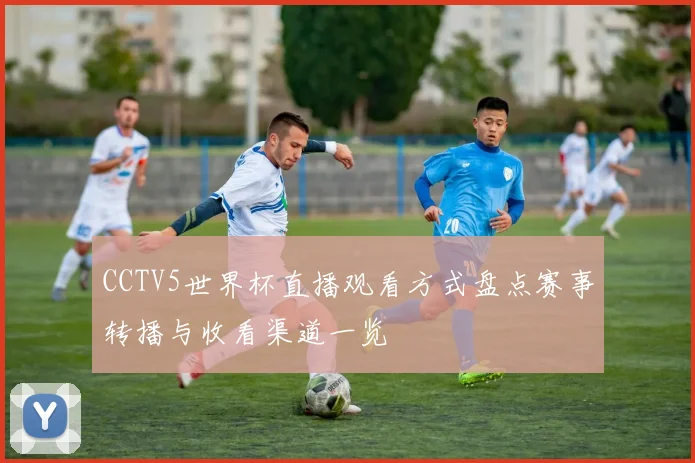 CCTV5世界杯直播观看方式盘点赛事转播与收看渠道一览