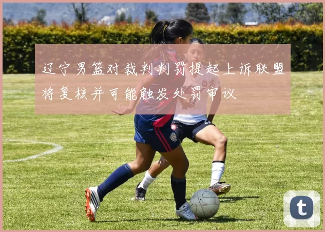 辽宁男篮对裁判判罚提起上诉联盟将复核并可能触发处罚审议